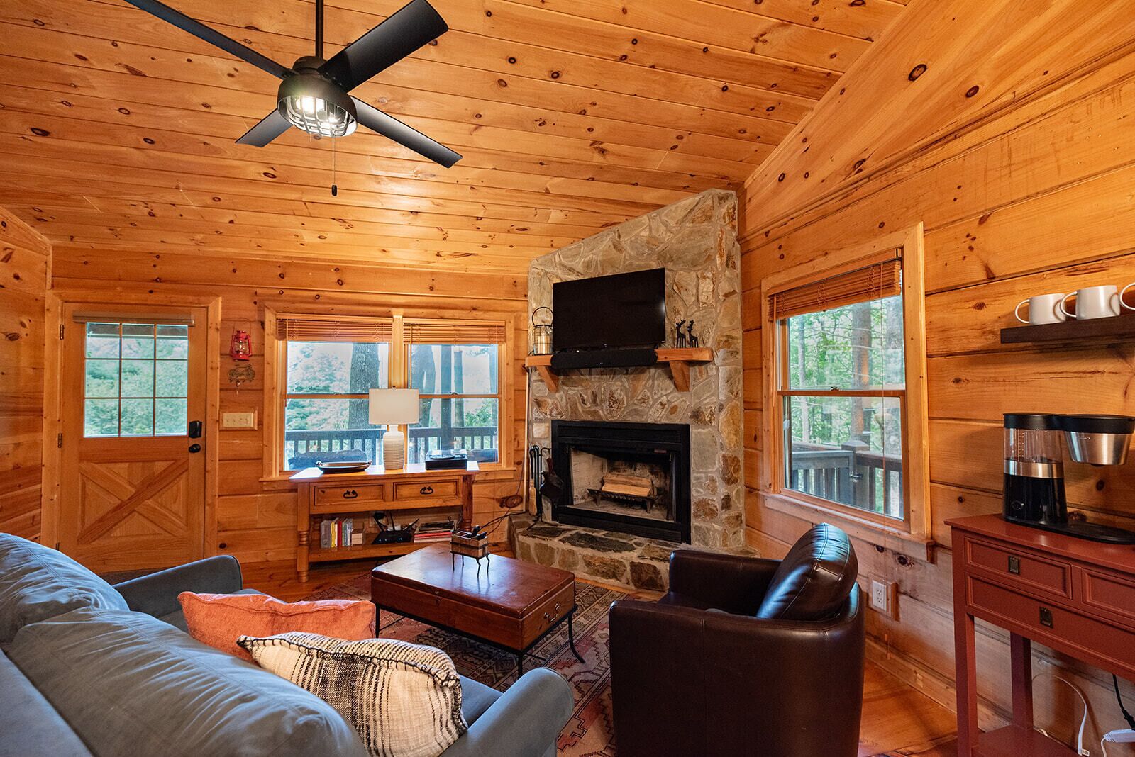 Smart TV, fireplace, DVD player, books