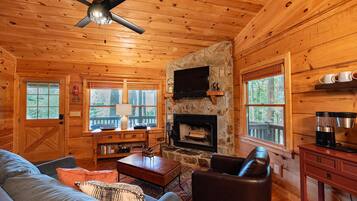 Smart TV, fireplace, DVD player, books