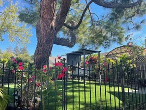 Property grounds - Modern Rustic Gem 3Bed/2Bath + Private Pool (San Jose)