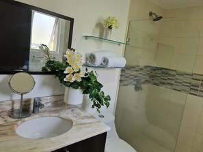 Combined shower/tub, hair dryer