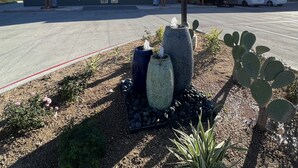 A building with a sign reading "The Residency Suites" and a parking lot with a cactus plant and decorative vases. - The Residency Suites (Sugar Land)