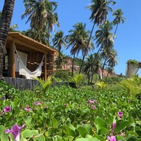 Honeymoon Cabin | Minibar, in-room safe, desk, laptop workspace