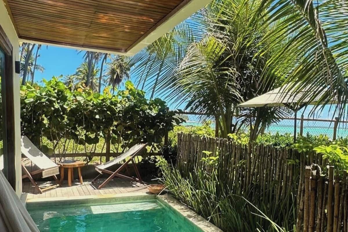 Uma piscina com água cristalina, cercada por vegetação exuberante e um deck de madeira.