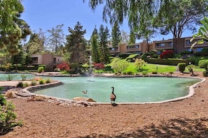 A landscaped area with a pond, a goose, and a building in the background.