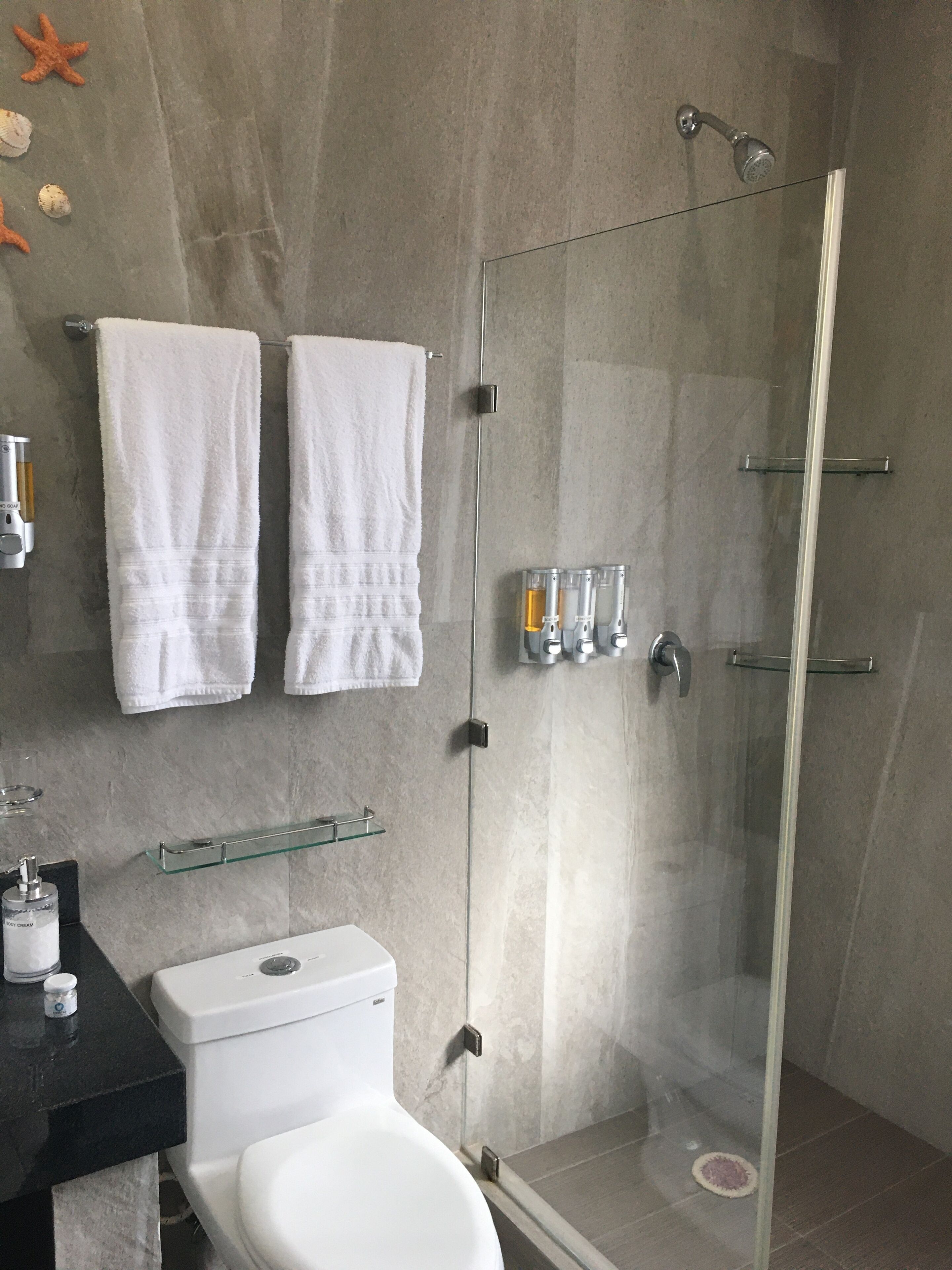 Ein modernes Badezimmer mit Duschkabine aus Glas, Toilette und Waschbecken mit Seifenspender.