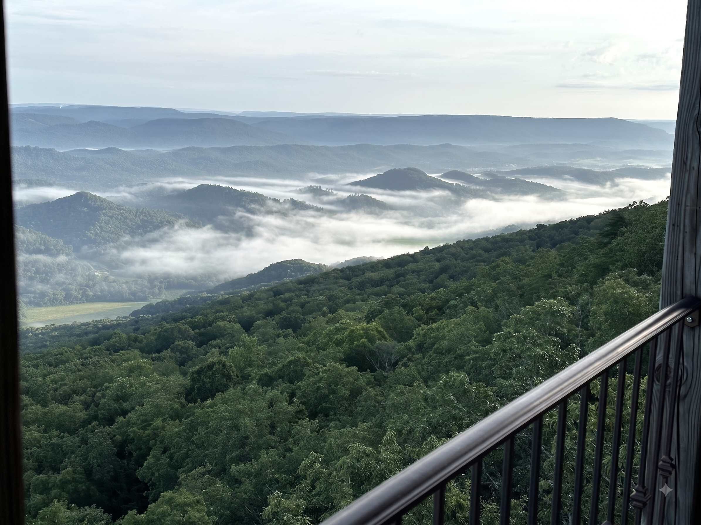 A mountainous landscape with dense forest and a view of distant hills.