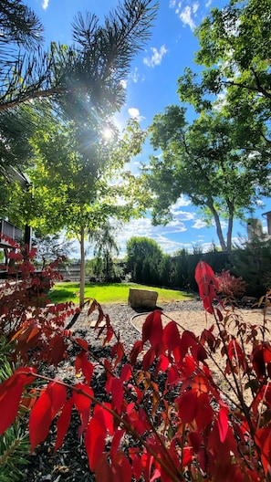 A garden with various trees and plants, including red foliage, under a clear blue sky. - Lake View Oasis with Hot Tub; Near Shops, dining, gas! Across from Park w/Lake  (Arvada)