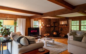 TV, fireplace, music library, video library