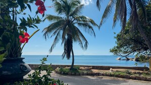A coastal road with a palm tree and red flowers in the foreground, leading to a beach with clear blue water and rocky outcrops. - Sea Splash & La Petite Maison (Praslin Island)