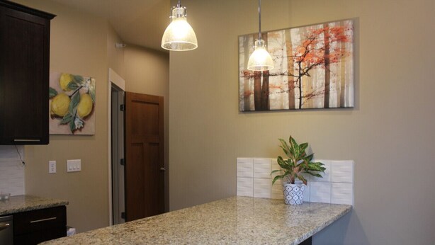 A kitchen with granite countertops, a potted plant, and two pendant lights.
