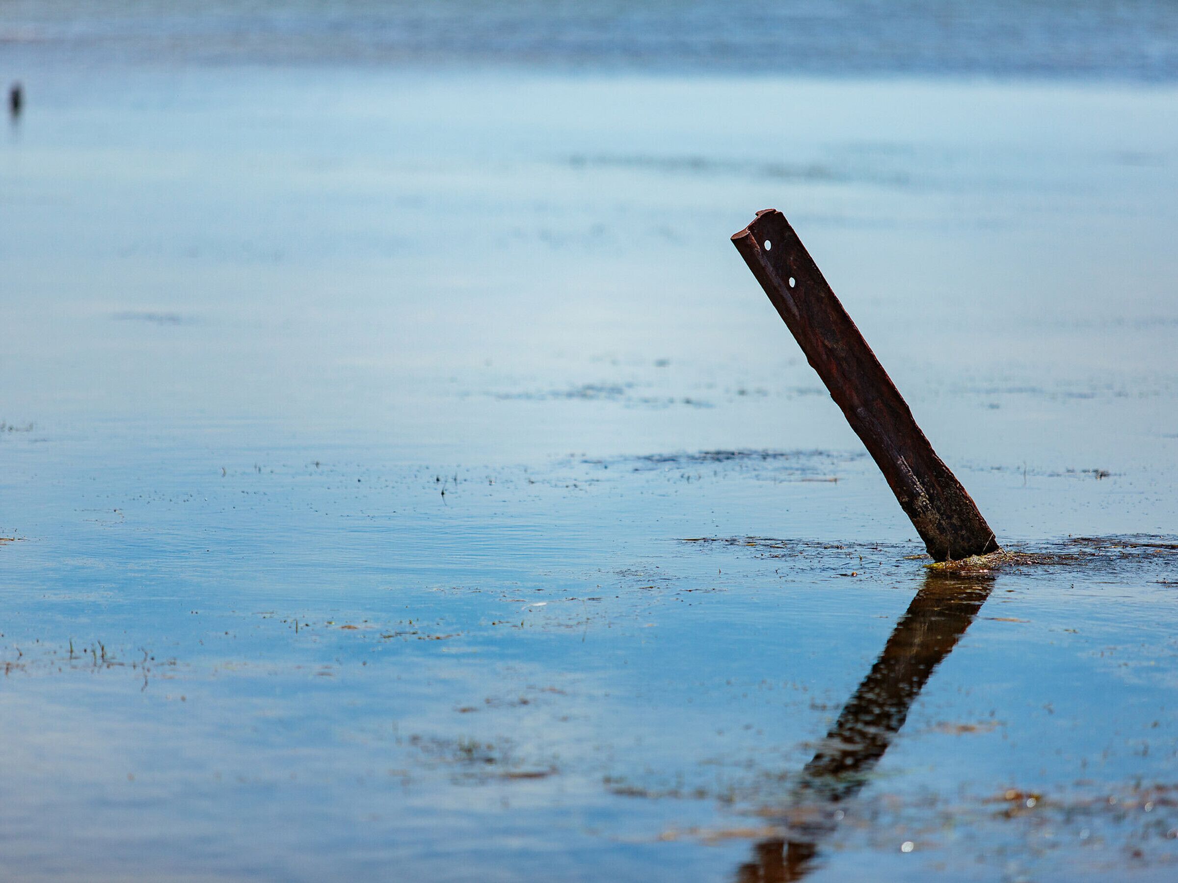 Un poteau métallique rouillé, planté verticalement dans une étendue d’eau.
