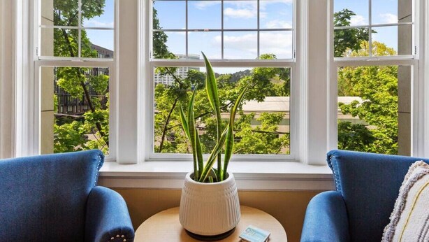 Ein Zimmer mit einem großen Fenster, einer weißen Vase mit Grünpflanzen und zwei blauen Stühlen.