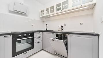 Fridge, oven, stovetop, dishwasher