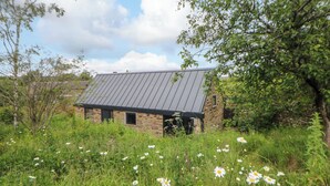 Une maison de campagne en pierre, avec un toit en métal, entourée d’un champ de marguerites et de fleurs sauvages.