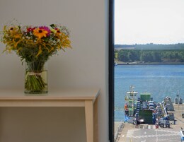 Apartment | View from room