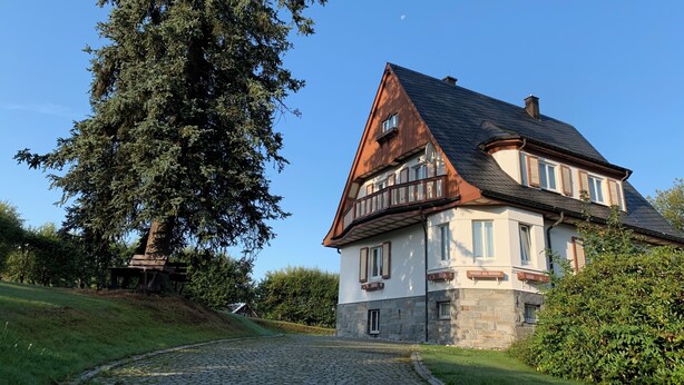 A traditional house with a stone facade, a sloped roof, and a large tree in the foreground.