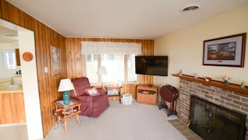 TV connectée, cheminée, livres, services de streaming