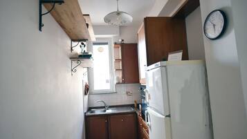 Classic Apartment | Private kitchen | Full-size fridge, oven, stovetop, dishwasher