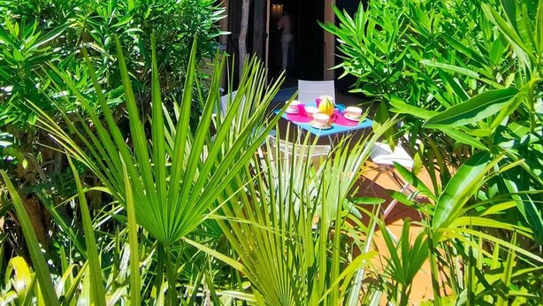 A two-story building with a flat roof, surrounded by lush greenery and a small patio area with outdoor seating.