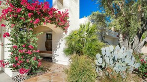 A courtyard with a white building, a cactus, and pink flowers.