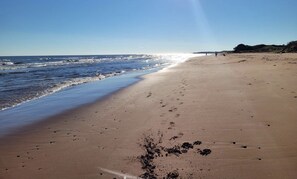 Chaises longues, serviettes de plage