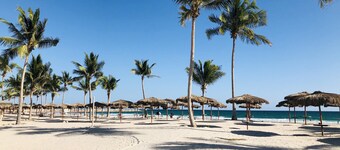 1-Bedroom in Forest Island + Oceanside View! (Top rated)