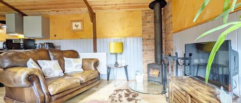 Smart-tv, een open haard en een dvd-speler