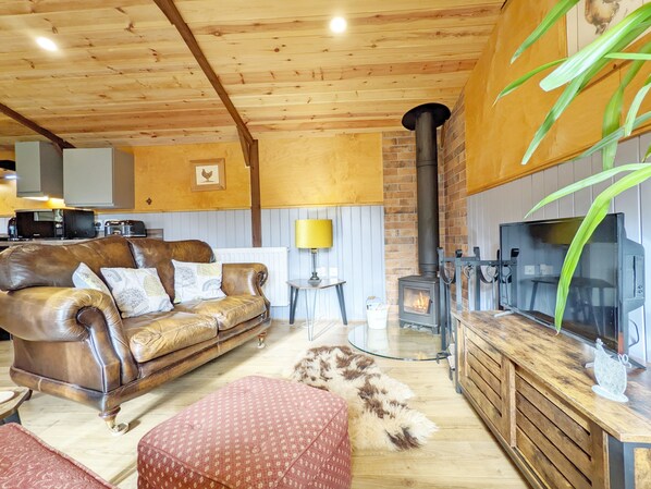 Smart TV, chimenea y reproductor de DVD 