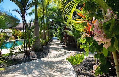 A pathway lined with tropical plants leading to a pool area.