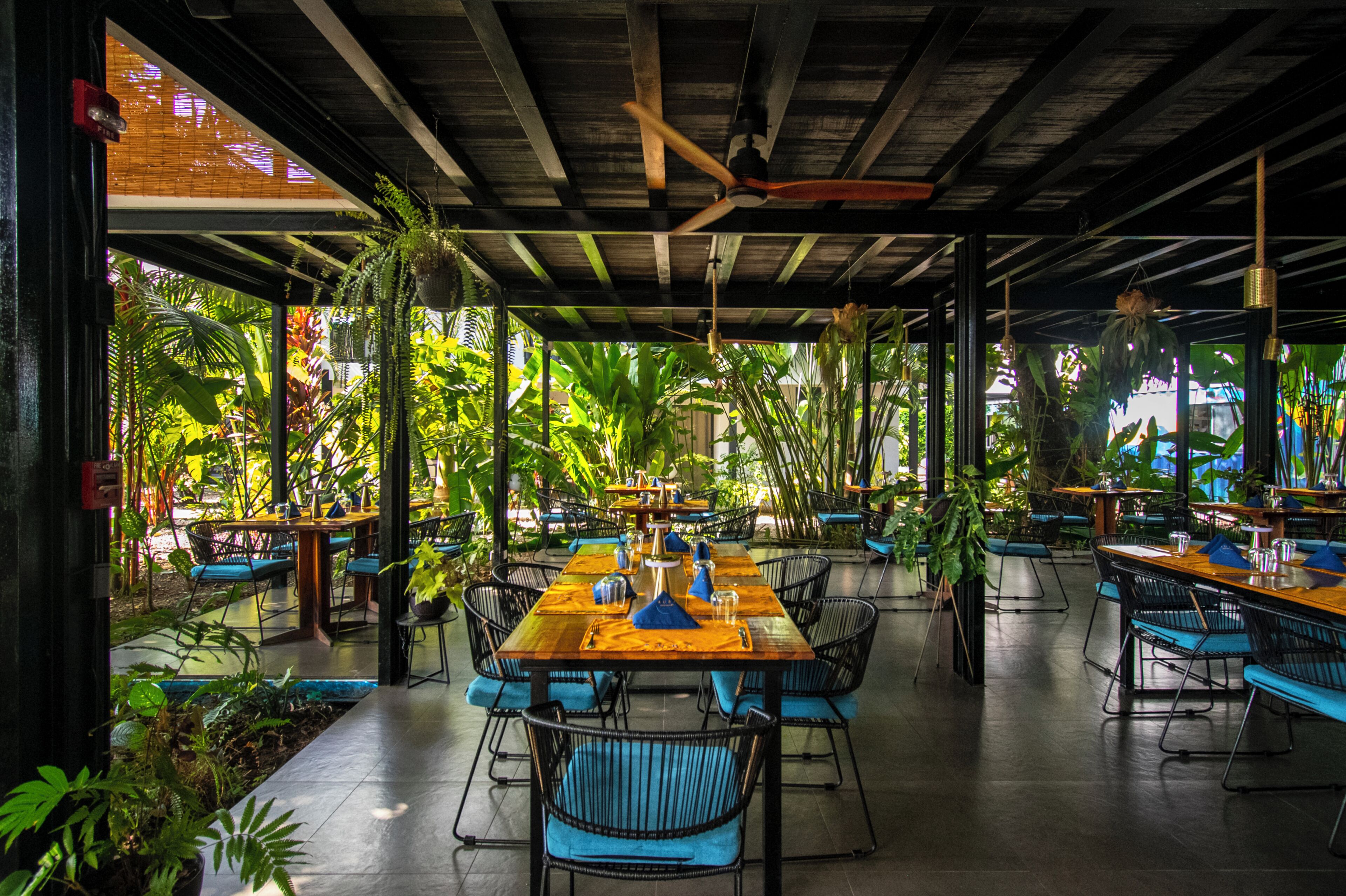 Foto - Yuli Hotel