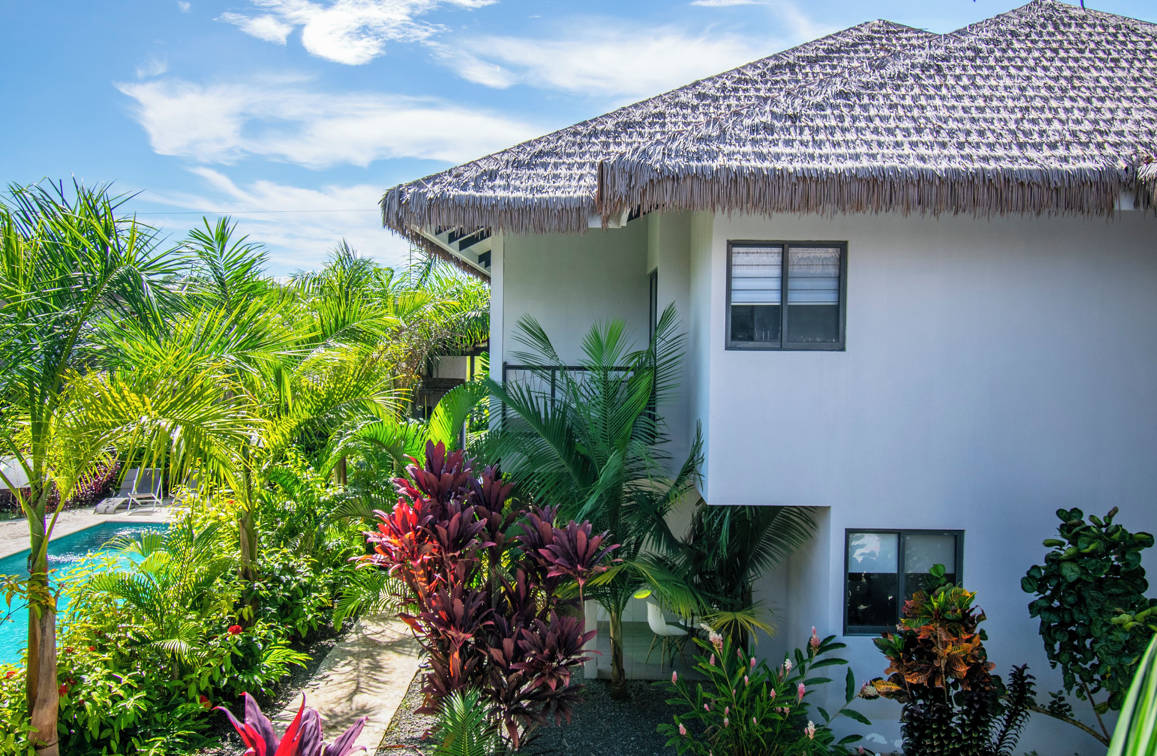 Una casa moderna con techo de paja, rodeada de exuberante vegetación tropical y una piscina.