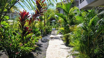 Teras/patio