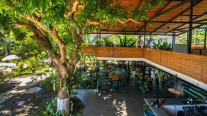 An indoor dining area with tables and chairs, surrounded by large trees and plants.