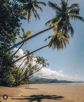 靠近海滩、白沙