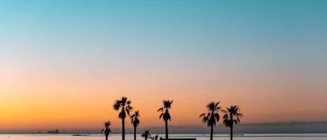 Playa en los alrededores