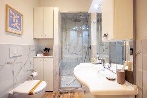 Shower, hair dryer, bidet, towels