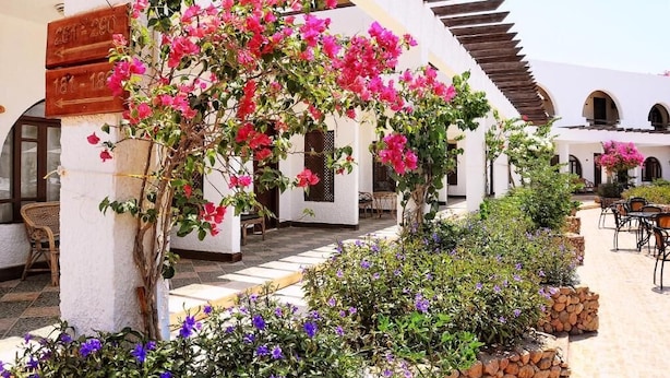 Ein Innenhof mit weißen Wänden, einer Pergola und verschiedenen blühenden Pflanzen.