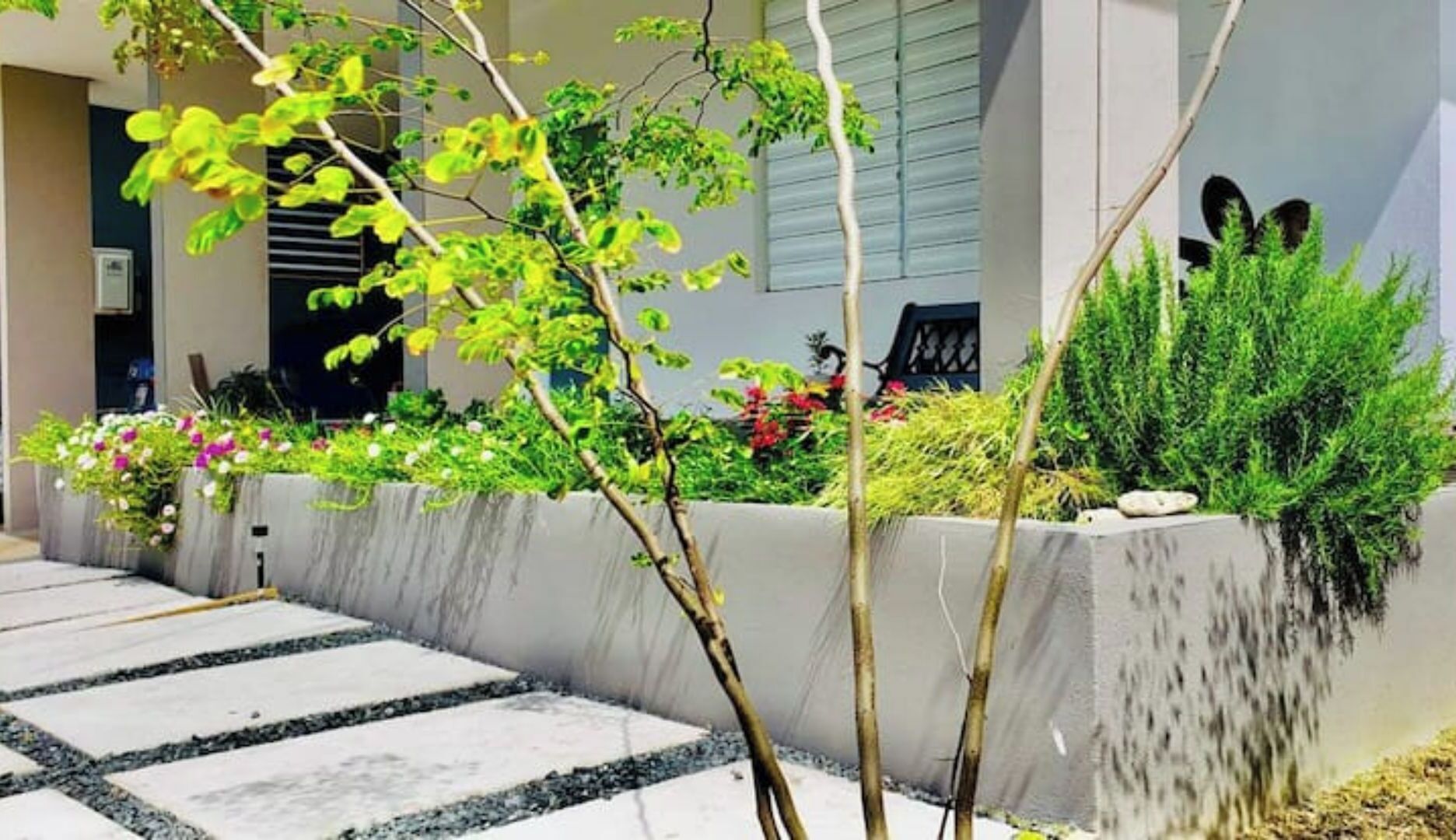 Un bâtiment moderne avec une façade en béton, un chemin en pierre et diverses plantes et arbustes.