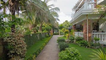 Trädgård