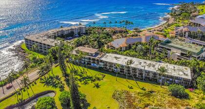 Fully remodeled tropical studio with outdoor pool - walk to beach