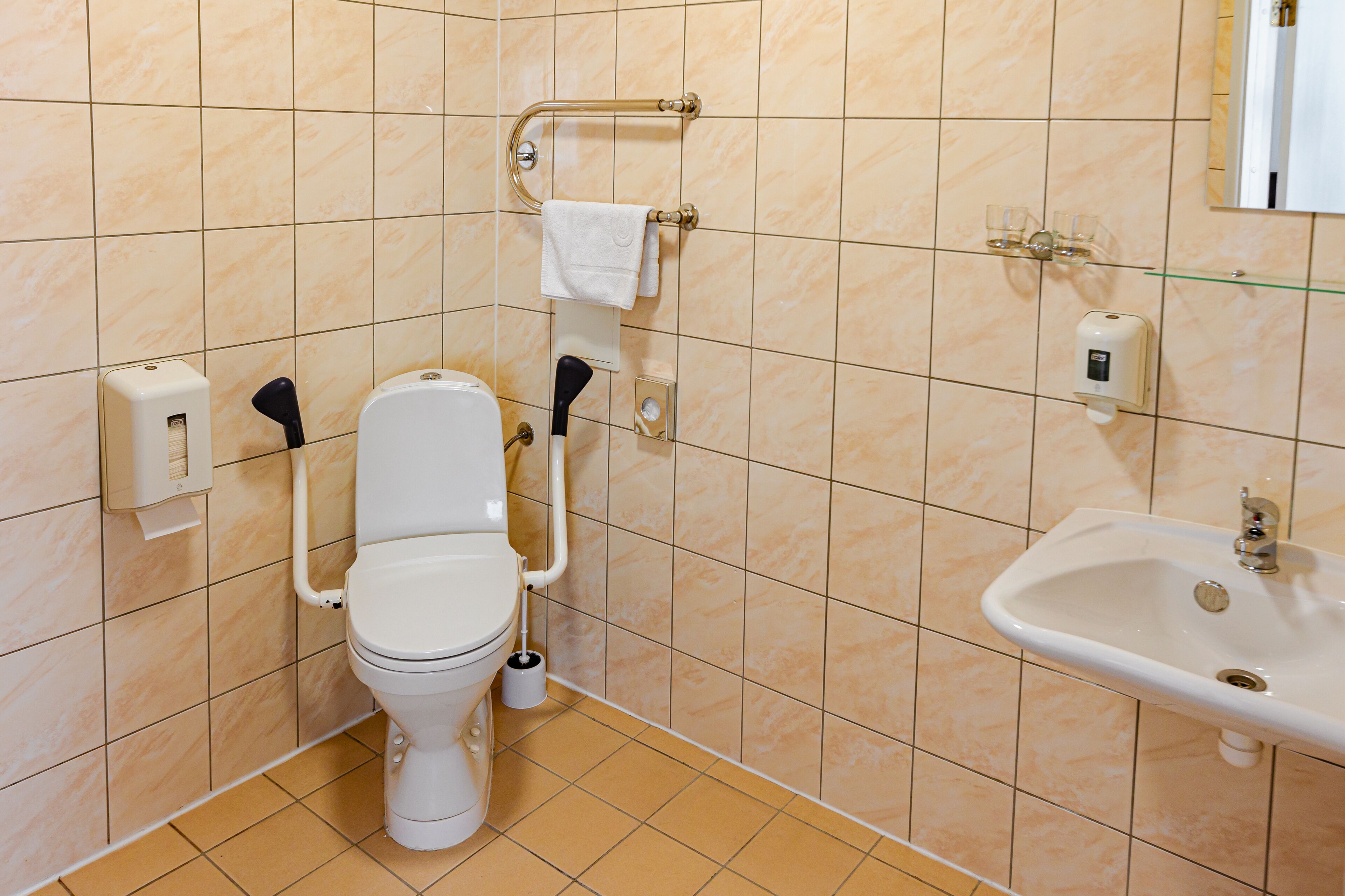 Une salle de bain équipée de toilettes, de barres d’appui, d’un lavabo et d’un miroir.