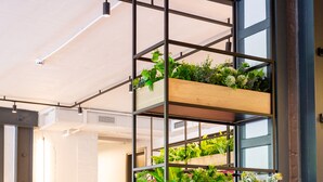 A modern interior with a vertical garden shelf, seating area, and a visible staircase.