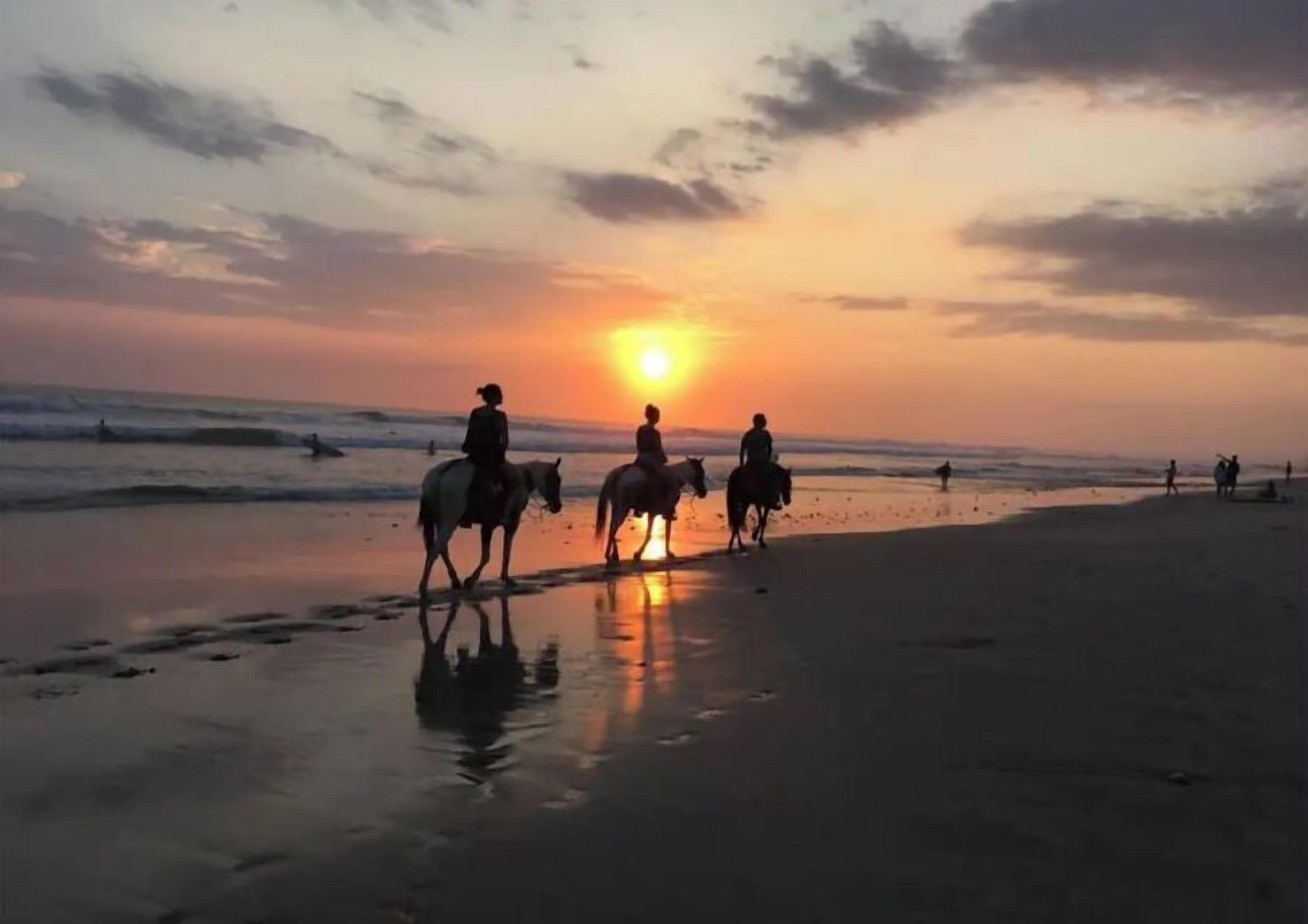 مناشف للشاطئ