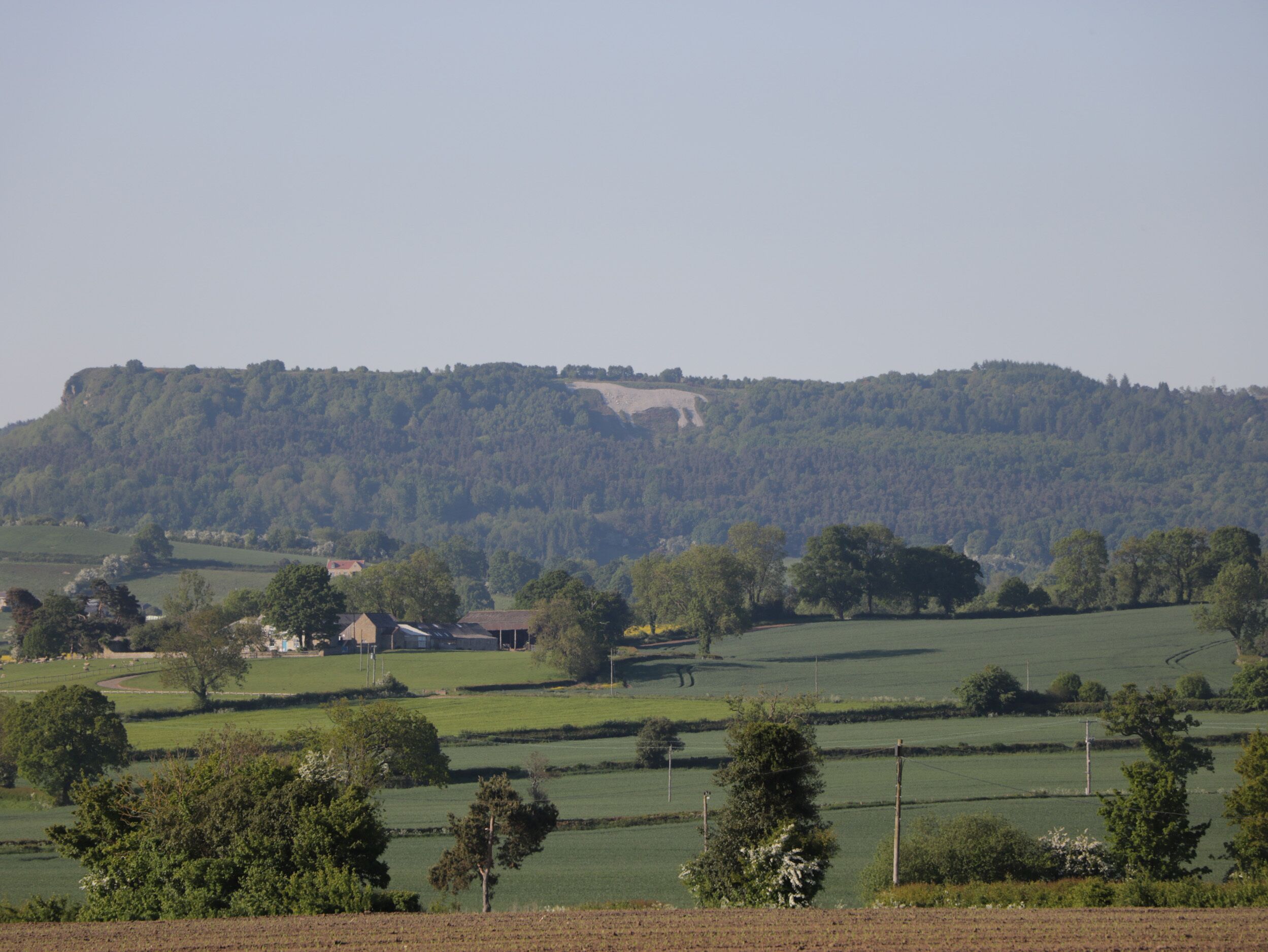 A rural landscape with a hill, houses, and fields.