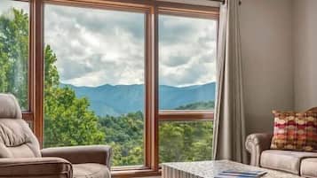 Televisión y chimenea