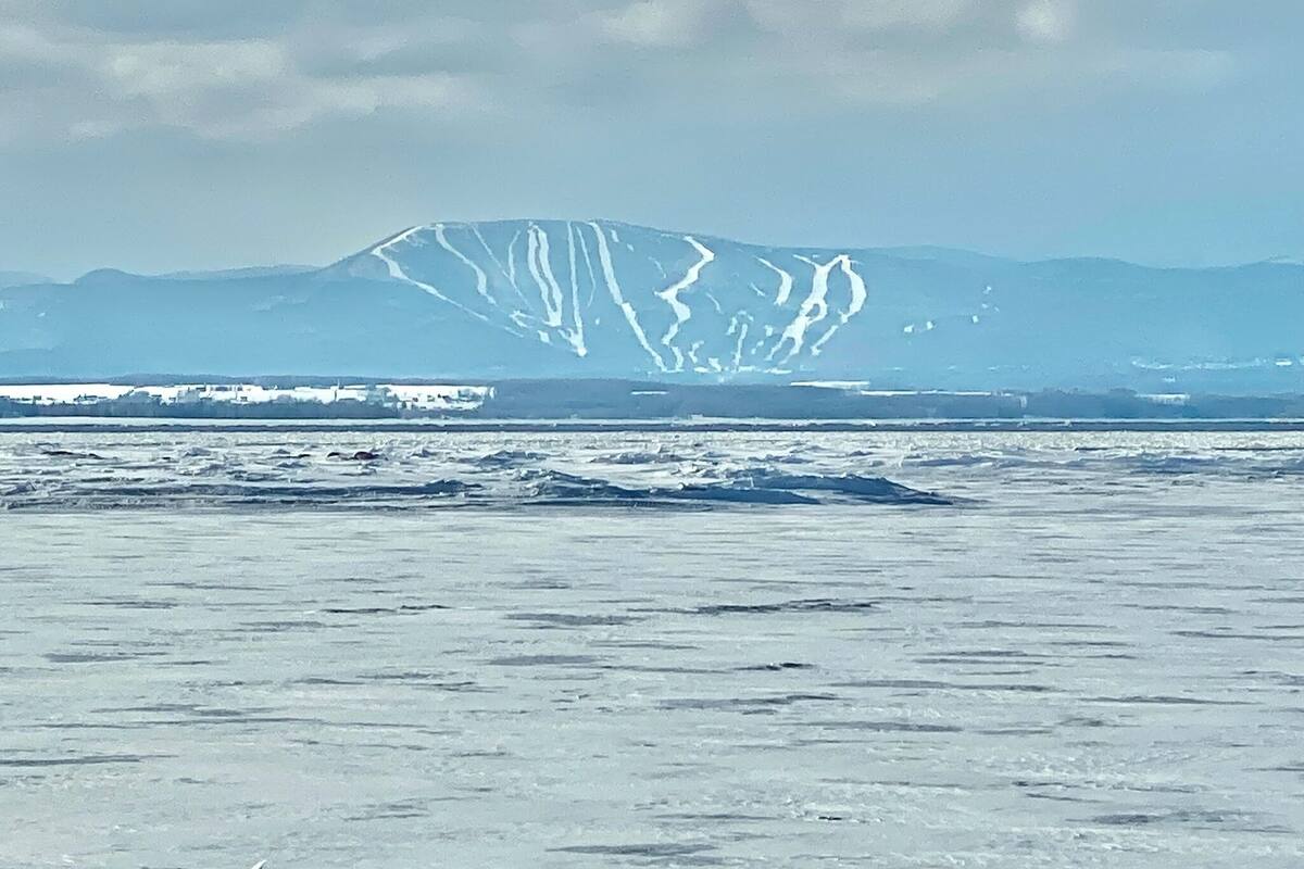 A snowy landscape with a mountain in the background.