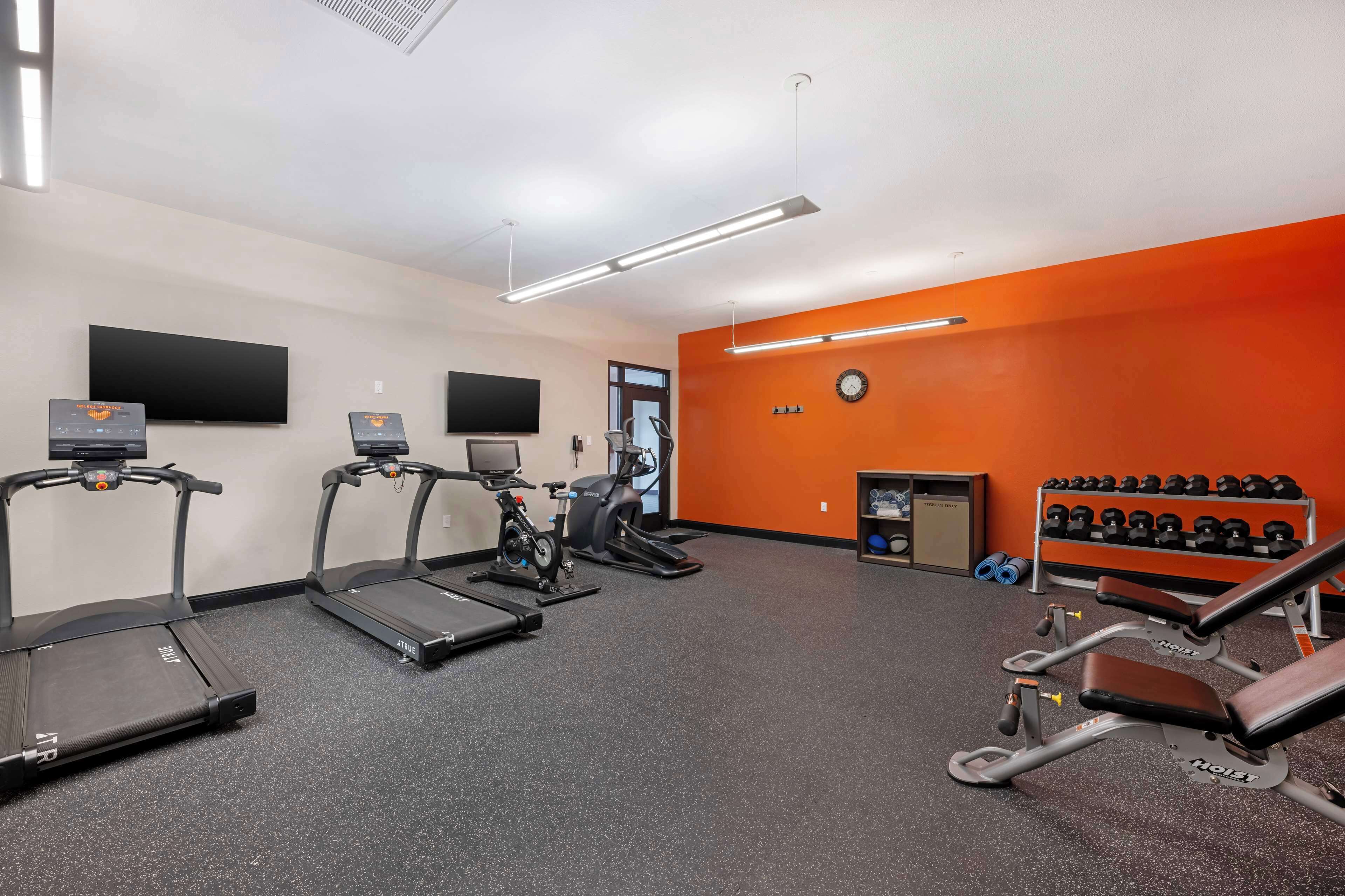 A gym with treadmills, an elliptical, a stationary bike, and a bench press.