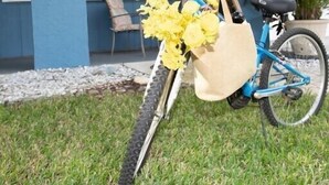A blue bicycle parked in front of a house with a number 292. - In the heart of Stuart-close to beaches (Stuart)