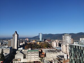 Exterior - Apartamentos Bauerle (Temuco)