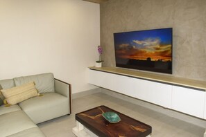 Televisión 